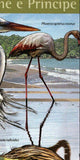 Birds of St. Tome Stamp Dendrocygna Bicolor Ardea Cinerea S/S MNH #6414 / Bl.113