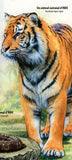 National Animal of India Stamp Panthera Tigris Pavo Cristatus S/S MNH #7653