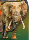 Wildlife Stamp Johannesburg Loxodonta Africana S/S MNH #7813 / Bl.1373