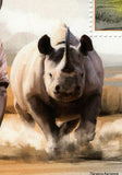 Rhinoceros Stamp Diceros Bicornis Rhinoceros Sondaicus S/S MNH #2829 / Bl.307