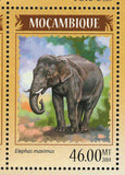 Elephants Stamp Elephas Maximus Souvenir Sheet S/S MNH #7330-7333