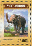 Elephants Stamp Elephas Maximus Souvenir Sheet S/S MNH #7330-7333