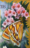 Butterflies Stamp Papilio Machaon Abisara Saturata  MNH #7248 / Bl.888