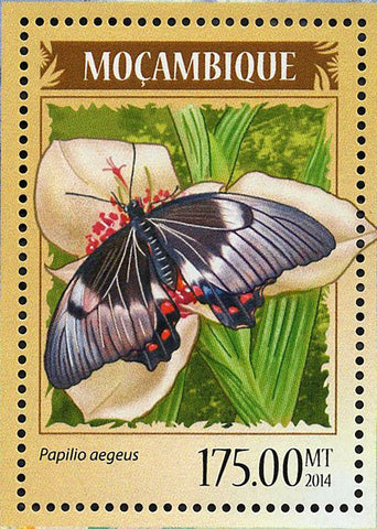 Butterflies Stamp Papilio Aegeus Papilio Ulysses S/S MNH #7249 / Bl.889