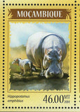 Hippopotamus Stamp Rhinoceros Diceros Bicornis Amphibius S/S MNH #7329 / Bl.905