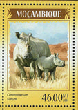 Hippopotamus Stamp Rhinoceros Diceros Bicornis Amphibius S/S MNH #7329 / Bl.905