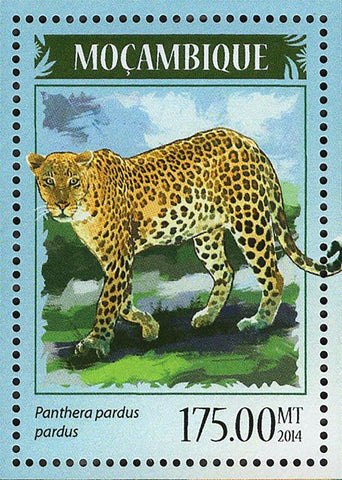 Lions Leopards Stamp Panthera Pardus Panthera Leo S/S MNH #7374 / Bl.914
