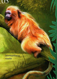 Monkeys Stamp Callithrix Geoffroyi Alouatta Seniculus S/S MNH #7389 / Bl.917