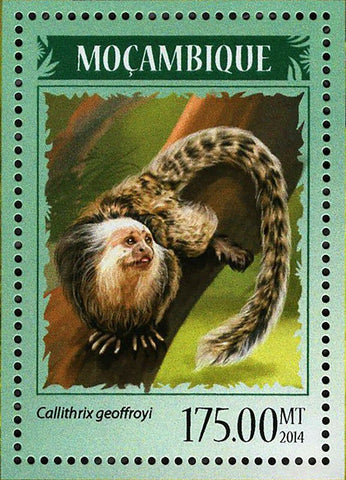 Monkeys Stamp Callithrix Geoffroyi Alouatta Seniculus S/S MNH #7389 / Bl.917