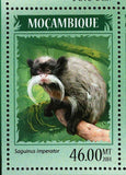 Monkeys Stamp Mico Argentatus Saguinus Imperator S/S MNH #7385-7388