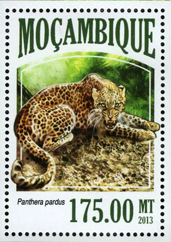Big Cats Stamp Panthera Leo Panthera Pardus Souvenir Sheet MNH #6981 / Bl.835