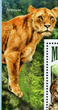 Big Cats Stamp Panthera Leo Panthera Pardus Souvenir Sheet MNH #6981 / Bl.835