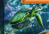 Turtles Stamp Chelonia Mydas Natator Depressus S/S MNH #10931 / Bl.2481