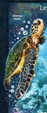 Turtles Stamp Chelonia Mydas Natator Depressus S/S MNH #10931 / Bl.2481