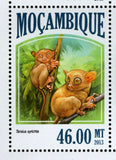 Primates Stamp Tarsius Syrichta Cebus Capucinus S/S MNH #6832-6835