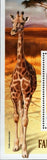 African Fauna Stamp Giraffe Lion Panthera Leo Souvenir Sheet MNH #6826 / Bl.804
