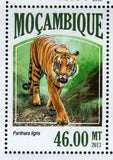 Big Cats Stamp Panthera Tigris Acinonyx Jubatus S/S MNH #6977-6980