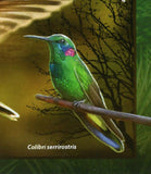 Colibris Stamp Birds Colibri Serrirostris Delphinae S/S MNH #10936 / Bl.2482