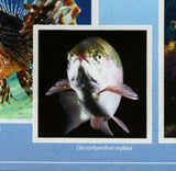 Fish Stamp Amphiprion Ocellaris Pterois Volitans S/S MNH #10681 / Bl.2431