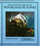 Fish Stamps Sebastes Caurinus Epinephelus Lanceolatus S/S MNH #10677-10680