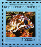 Fish Stamps Sebastes Caurinus Epinephelus Lanceolatus S/S MNH #10677-10680