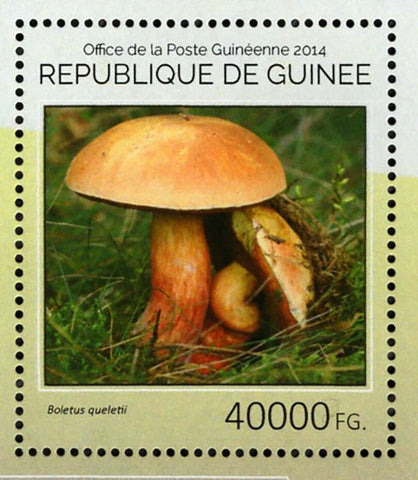 Mushrooms Stamps Boletus Queletii Pleurotus Ostreatus S/S MNH #10666 / Bl.2428