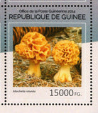 Mushrooms Stamps Cantharellus Cibarius Agaricus Bisporus S/S MNH #10662-10665