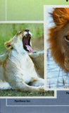 Lions Stamp Panthera Leo Wild Animal Souvenir Sheet MNH #10706 / Bl.2436