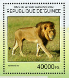 Lions Stamp Panthera Leo Wild Animal Souvenir Sheet MNH #10706 / Bl.2436