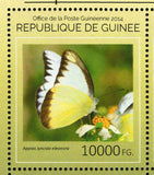 Insects Stamp Butterflies Ladybug Zygaena Filipendulae S/S MNH #10676 / Bl.2430