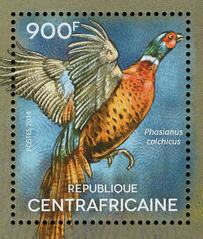 Birds Stamp Phasianus Colchicus Aratinga Solstitialis S/S MNH #5190-5193