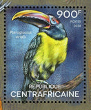 Birds Stamp Phasianus Colchicus Aratinga Solstitialis S/S MNH #5190-5193