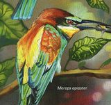 Bee-eaters Stamp Birds Merops Apiaster Variegatus Orientalis S/S MNH #5120-5123