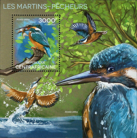 Kingfishers Stamp Alcedo Atthis Birds Souvenir Sheet MNH #5189 / Bl.1250