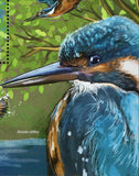 Kingfishers Stamp Alcedo Atthis Birds Souvenir Sheet MNH #5189 / Bl.1250