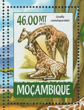 Giraffes Stamp Giraffa Camelopardalis Tippelskirchi S/S MNH #7320-7323