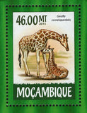 Giraffes Stamp Giraffa Camelopardalis Souvenir Sheet MNH #7960