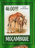 Giraffes Stamp Giraffa Camelopardalis Souvenir Sheet MNH #7961