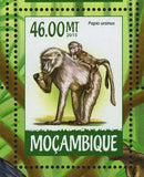 Monkeys Stamp Chlorocebus Cynosuros Papio Ursinus S/S MNH #7979-7982