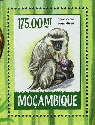 Monkeys Stamp Chlorocebus Pygerythrus Souvenir Sheet MNH #7983 / Bl.1036