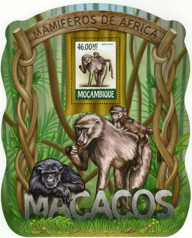 Monkeys Stamp Papio Ursinus Souvenir Sheet MNH #7980