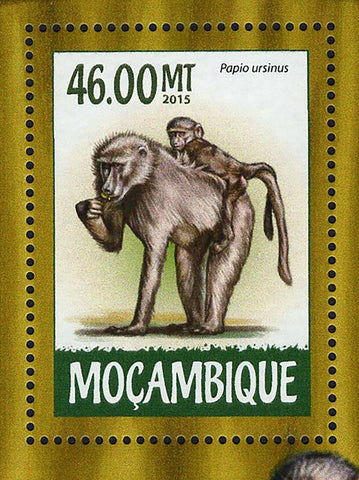Monkeys Stamp Papio Ursinus Souvenir Sheet MNH #7980