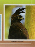 Birds of Prey Stamp Caracara Cheriway Harpia Harpyja S/S MNH #10696 / Bl.2434