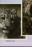 Snow Leopards Stamp Panthera Uncia Souvenir Sheet MNH #10586 / Bl.2412