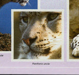 Snow Leopards Stamp Panthera Uncia Souvenir Sheet MNH #10586 / Bl.2412