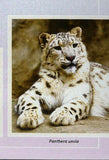 Snow Leopards Stamp Panthera Uncia Souvenir Sheet MNH #10586 / Bl.2412