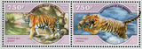 Tigers Stamp Panthera Tigris Altaica Souvenir Sheet MNH #3070-3073