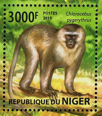 Monkeys Stamp Chlorocebus Pygerythrus Souvenir Sheet MNH #3519 / Bl.447