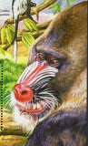 Monkeys Stamp Chlorocebus Pygerythrus Souvenir Sheet MNH #3519 / Bl.447