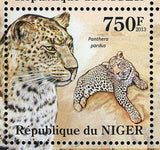 Leopards and Lions Stamp Panthera Leo Panthera Pardus S/S MNH #2121-2124